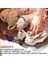 15 Parça Yavru Kimlik Yaka, Ayarlanabilir Whelping Kukla Yavruları Yavru Kedi Kimlik Grupları Için Yenidoğan Küçük Köpekler Kedi, Çok Renkli Naylon Özdeş (Yurt Dışından) 3