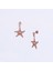 Rose Deniz Yıldızı Gümüş Küpe NUR-KP00677 1