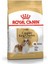 Cavalier King Charles Yetişkin Köpek Maması 1,5 kg 1