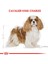 Cavalier King Charles Yetişkin Köpek Maması 1,5 kg 4