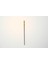 Professional Makeup Brush Champagne Dudak Fırçası Makyaj Fırçası No:23 4