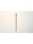 Professinal Makeup Brush Champagne Far Fırçası Makyaj Fırçası No:20 6