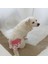 Dişi Köpek Regl Külodu, Çiş Külodu 1