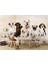 Köpek Yavruları Duvar Kağıdı Pet Duvar Resmi Çocuk Odası Duvar Posteri 4