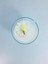 Soya Wax Natural Mum - Daisy 2