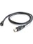 Nıkon D2HS / D2X / D2XS Mini USB Kablo 2