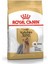 Yorkshire Terrier Adult Yetişkin Köpek Maması 1,5 kg 5