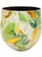 Lush Botanic S Saksı 1