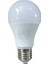 9W A60 6500K LED Ampul 2