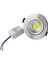 5W Cob Downlight Krom Kasa Gün Işığı 1