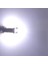 H6W LED Beyaz Işık Park Ampulü PH7744 Cb 2