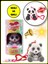 Coccolotti Interaktif Sesli ve Işıklı Sevimli Pandalar Anahtarlık & Çanta Aksesuarı - Siyah Panda 1