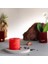 Organik Çıralı Mum - Organic Woodwick Candle Egypt 300 gr. 2