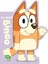 Bluey: All About Bingo (Ciltli) 1