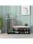 Tiyan Metal Bench 1