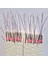 Çapari İstavrit Çaparisi, 15x12 Beden, Ultraviyole Uv Neon Gri Sim, 11 No Beyaz İğne 10 İğneli Çapari 2li Paket 1