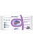 Clean Yüzey Temizlik Havlusu 96 Yaprak Lavanta Kokulu Plastik Kapaklı (9 Lu Set) 864 Yaprak 2