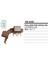 Konjektor 24V Prestij Otobus - Mg 530-630 Is Makin 504633566 1
