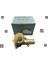 Murat 131 Su Pompası 4332090 Gold 1