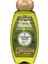 Whole Blends Zeytinyağı Özlü Silikonsuz Yenileyici Şampuan 370ML 1