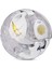 Bakugan Legends Core Pegatrix x Gillator - 1 Adet 4