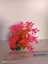 Akvaryum Plastik Bitki 11X10X9 cm M-403 4