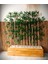 Yapay Bamboo Bambu Ağacı 1 mt Boy Bambu Seperatör Çubuklar Ahşap Çam Saksıda 1