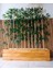 Yapay Bamboo Bambu Ağacı 1 mt Boy Bambu Seperatör Çubuklar Ahşap Çam Saksıda 2