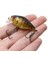 No.11 Tarzı 1 Adet Mini Krank Balıkçılık Lures G Yüzen Yapay Sert Yem Japonya Bas Pike Olta Takımı Wobblers Pesca Crankbait (Yurt Dışından) 2