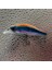 D-63MM-5G Tarzı 2023 Yeni Balıkçılık Cazibesi Batan Minnow Jerkbait Sert Lures Balıkçılık Wobbler Bas Crankbait Alabalık Cazibesi Eğilmiş Ağız Yemi (Yurt Dışından) 1
