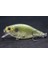 C547X84B Stili Wlure Crankbait Balıkçılık Cazibesi 6.5 cm 7.4g Düz Gövde Geniş Wobbler Misk Yem Yüzen Tank Test Edilmiş Sert Yem Varyant Renk (Yurt Dışından) 1