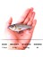 JKB070-04 Stili Ccltba Planör Jerkbait 7cm.5cm Sert Yemler Balıkçılık Lures Plastik Yapay Wobblers Çıngırak Cazibesi Pike Bas Balıkçılık Jerk Mücadele (Yurt Dışından) 5