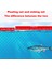 30 M Tarzı Çok Boyutlu Balık Ağı Tuzak Örgü Örgü Fishnet Taşınabilir Naylon El Döküm Kafes Ağ Olta Takımı Aksesuarları (Yurt Dışından) 5