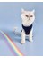 Navy Sports Atlet Kedi Kıyafeti Kedi Elbisesi 1