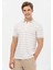 Erkek Petek Dokulu Çizgili Polo Yaka T-Shirt 3