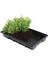 Professional Tabla 37X23.5X5 cm Deliksiz 5 Adet 1