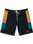 Original Arch Panel 18 Erkek Boardshort 1