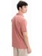Erkek Regular Fit Pike Polo Yaka Tişört Y27374352601 3