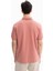 Erkek Regular Fit Pike Polo Yaka Tişört Y27374352601 4