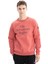 Erkek Yazı Baskılı Regular Fit Bisiklet Yaka Sweatshirt K26124600001 3