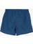 Yeşil Erkek Şort Mayo 8-1243316009-SPEEDO Essentıals 16 2