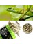 Kurutulmuş Balık Tarzı 50 Gram 30G Kaplumbağa Yemi Çubukları Betta Balık Besleyici Granüller Kurutulmuş Frimp Ekmek Solucanları Sürüngen Akvaryum Terrapin Kaplumbağa Yemi (Yurt Dışından) 1