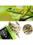 Kurutulmuş Balık Tarzı 50 Gram 30G Kaplumbağa Yemi Çubukları Betta Balık Besleyici Granüller Kurutulmuş Frimp Ekmek Solucanları Sürüngen Akvaryum Terrapin Kaplumbağa Yemi (Yurt Dışından) 4
