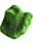 Yeşil Stil 3cm Karınca Çiftliği Dekorasyonu Yapay Mini Moss Taşları Karınca Yuva Aracı Karınca Evi Aksesuarları Pet Karınca Yuvası Mikro-Peyzaj Dekorasyonu Için (Yurt Dışından) 2
