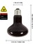 220V 75W Tarzı Bene 2 Pack Sürüngen Mehtap Isıtma Kızılötesi Lambalar Brooder Için Gece Ampulleri, Kaplumbağa, Kertenkele, Sakallı Ejderha Amfibi, Teraryum (Yurt Dışından) 3
