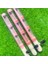 Tüp B 5-150MM Stili Kolay Nemlendirici Kum Dıy Ekolojik Karınca Çiftliği Bambu Test Tüpü Karınca Yuvası Çeşitli Boyutlarda Tüpler Karınca Evi Pet Karınca Yuvası Kraliçe Karınca (Yurt Dışından) 3