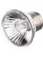50W Tarzı Yeni Farınfrared Seramik Pet Isıtma Lambası Kaplumbağa Kertenkele Örümcek Sürüngen Kutusu Isıtıcı Ampuller 20W 50W 75W 100W Ünlü (Yurt Dışından) 1