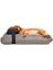 Köpek Yatağı ve Yastık Takımı - Rowan Large 2