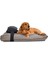 Köpek Yatağı ve Yastık Takımı - Rowan Large 3