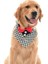 Orta ve Büyük Irk Köpekler Için Yakalık Bandana Morjop 1